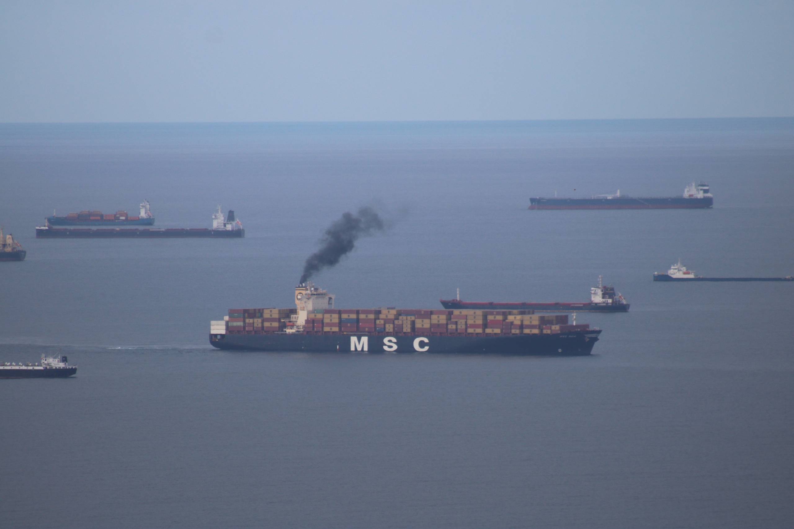 The Mediterranean Shipping Company (MSC) has been repeatedly identified as one of EU biggest polluters